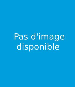 En attente de l’image du produit