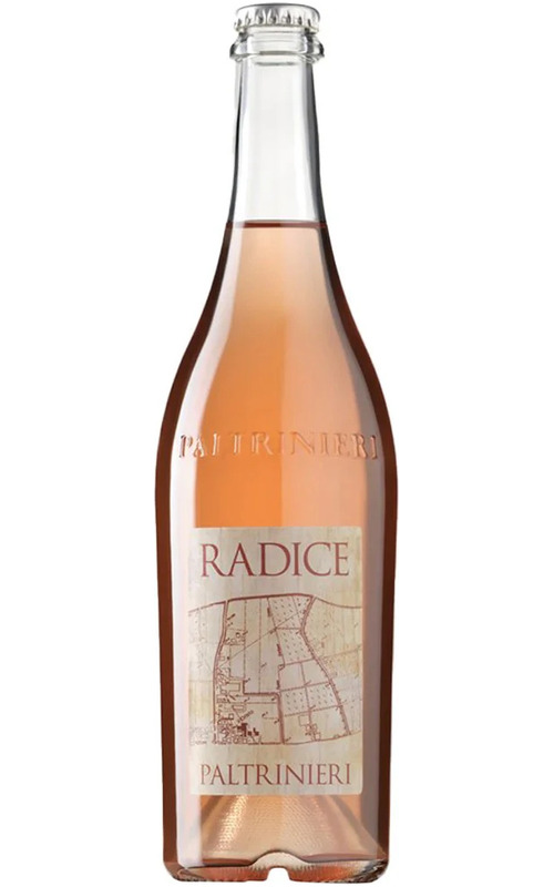 Radice Lambrusco di Sorbara Radice Lambrusco di Sorbara