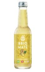 Brio Maté Ginger